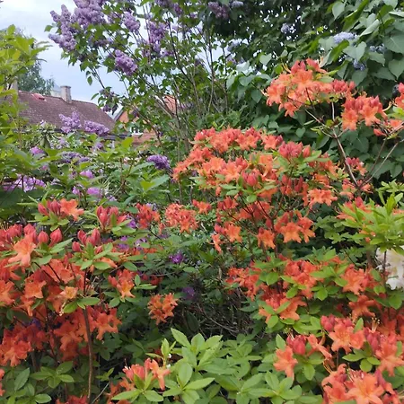 Kauni Vaatega Korter Appartamento *
